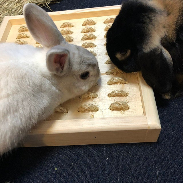 Bunny Rabbit Sisal Digging Box