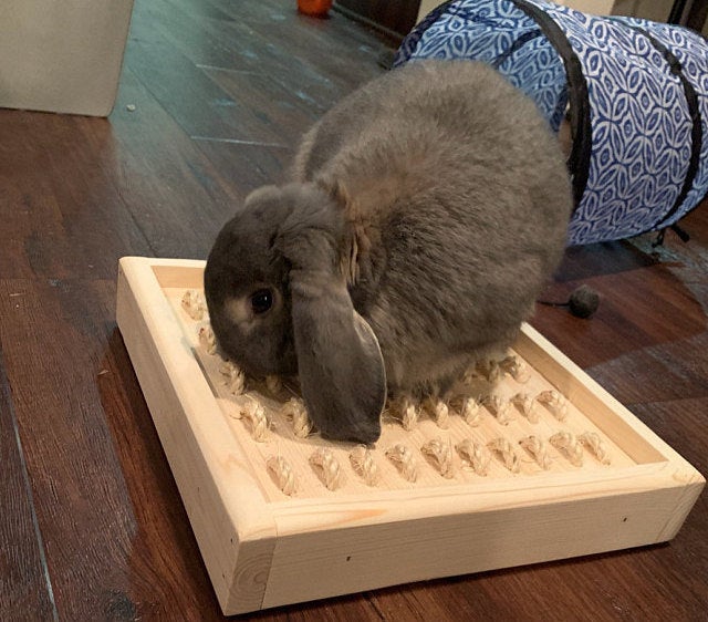Bunny Rabbit Sisal Digging Box