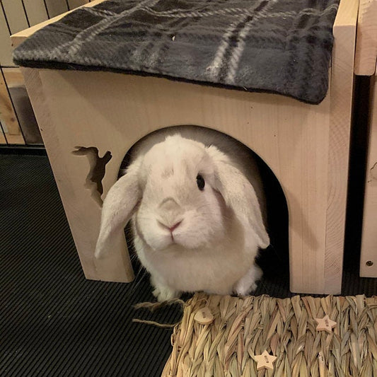 Corner door rabbit house