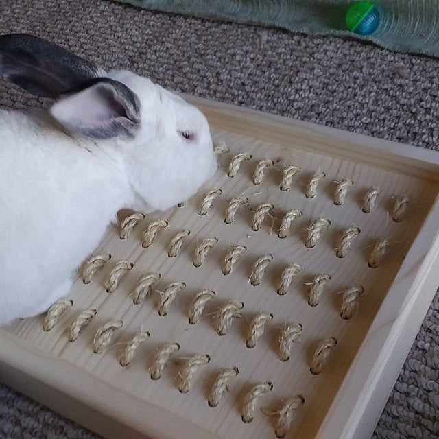 Bunny Rabbit Sisal Digging Box