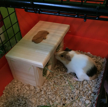Guinea Pig Hay Feeder