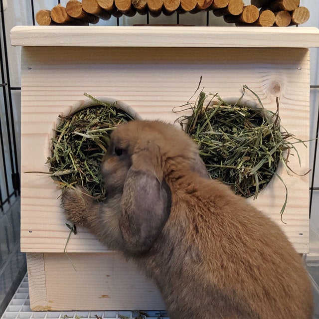 Rabbit Hay Feeder