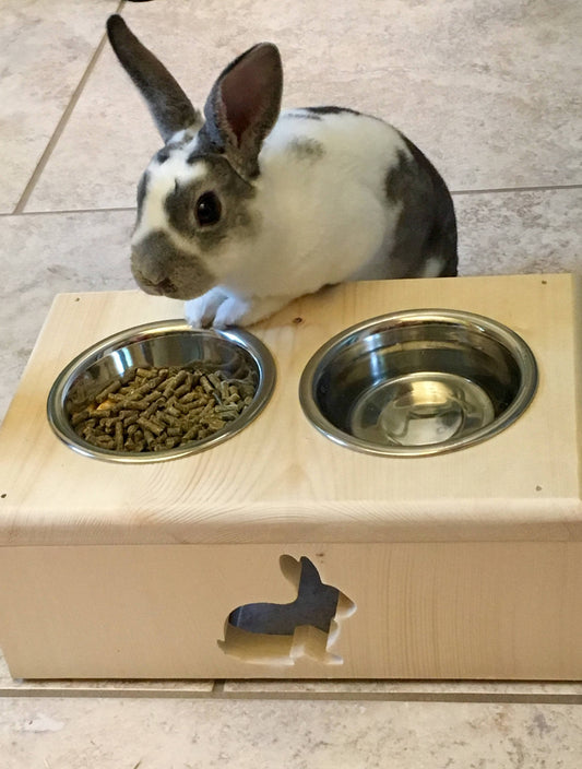 Pet Bunny Rabbit Feeding Station
