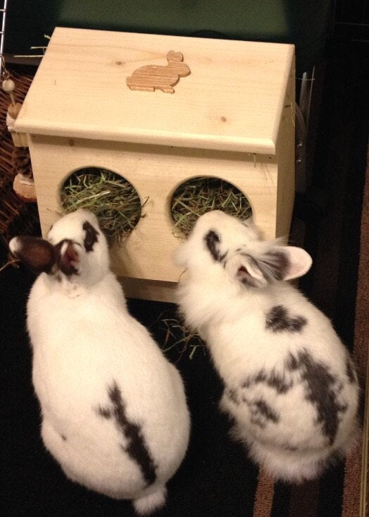 Rabbit Hay Feeder